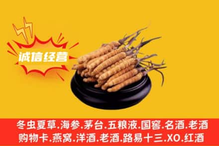 定西市陇西回收冬虫夏草